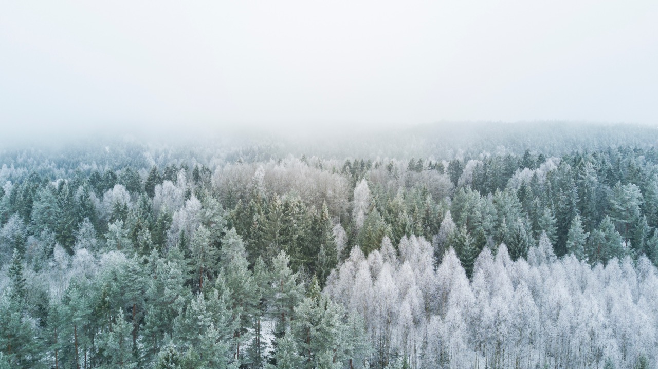 Winter